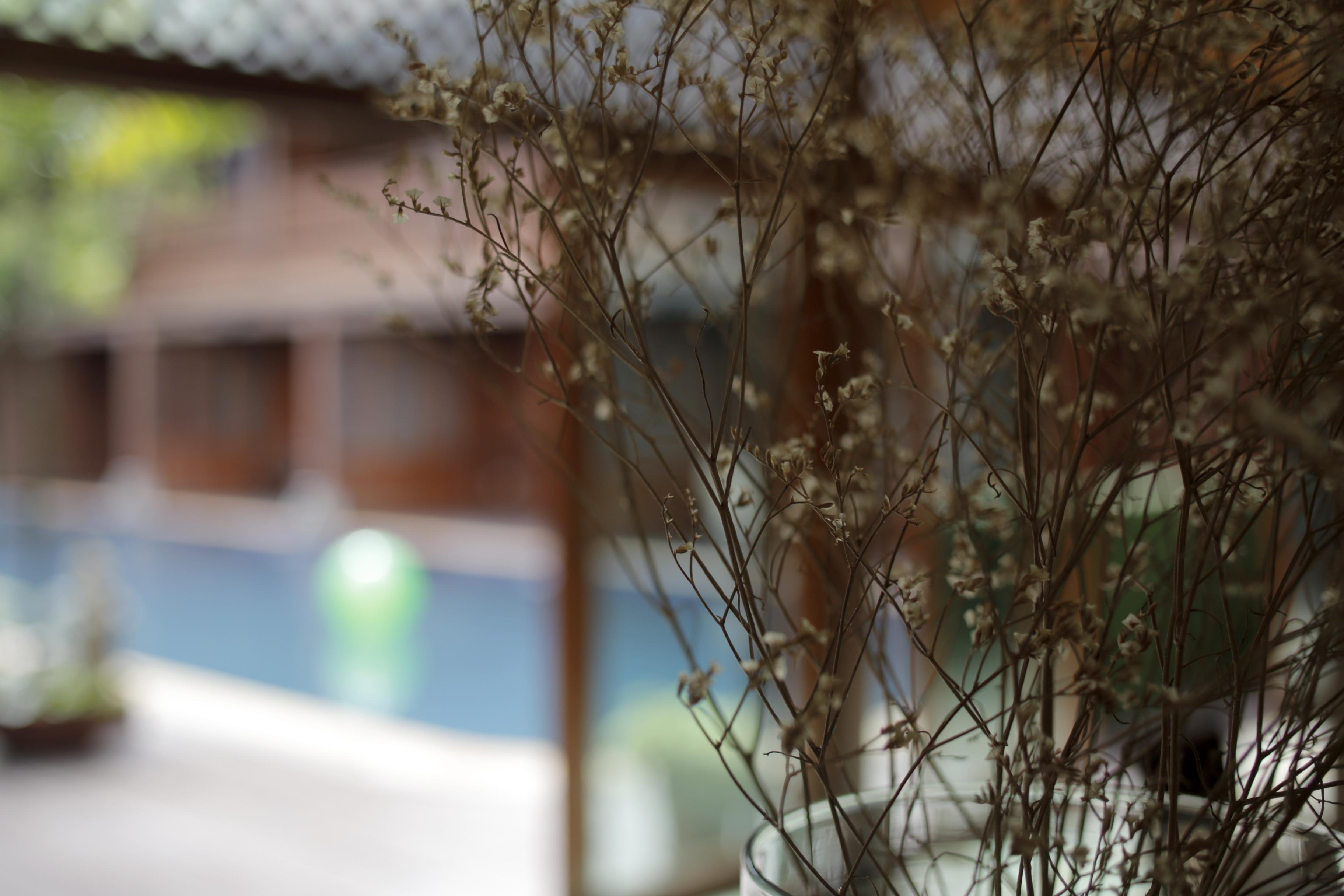 Baan U Sabai Boutique House-Sha Plus Chiang Mai Dış mekan fotoğraf